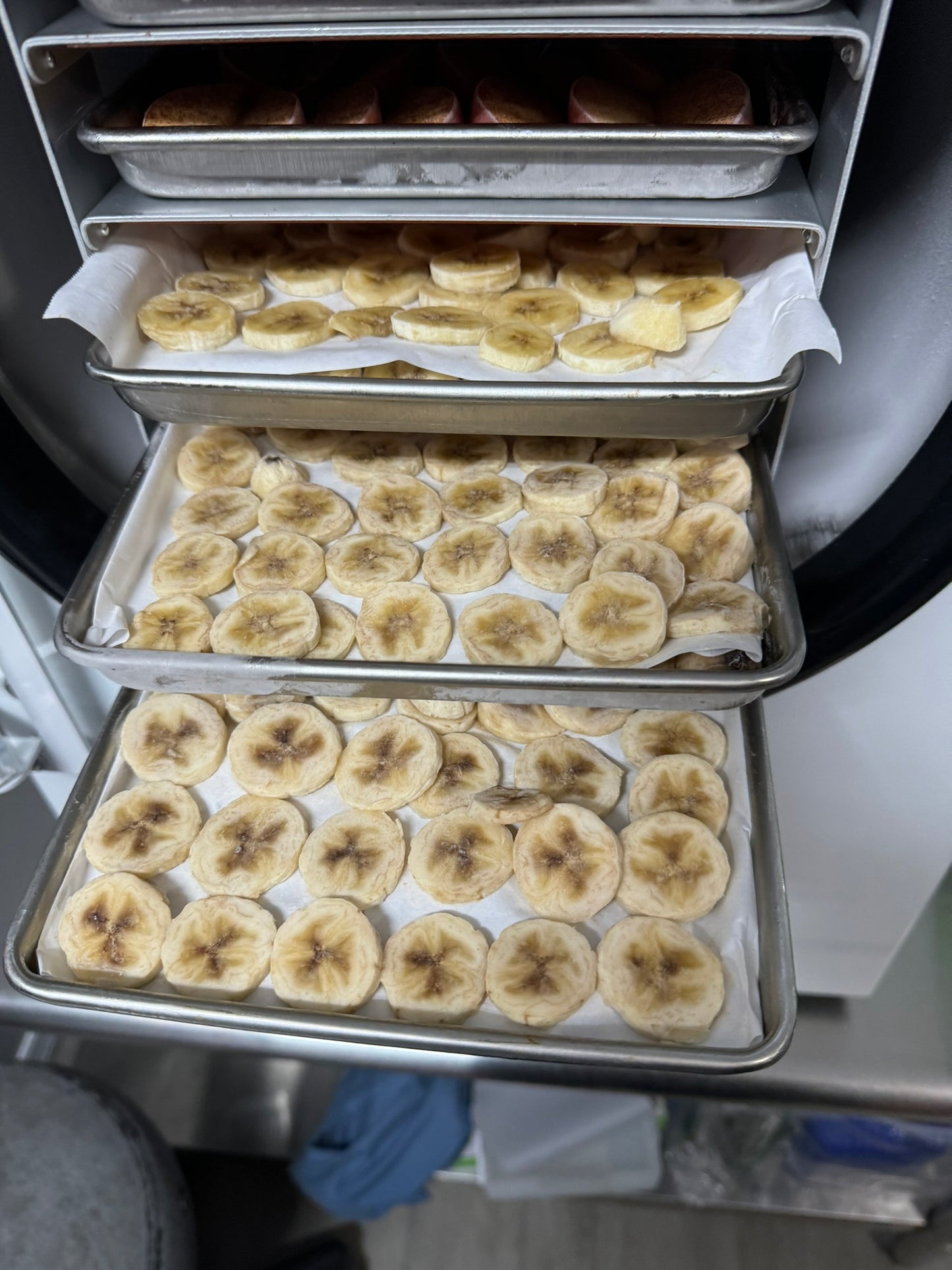 Freeze-Dried Banana Chips – Naturally Sweet, Crispy & 100% Real Fruit