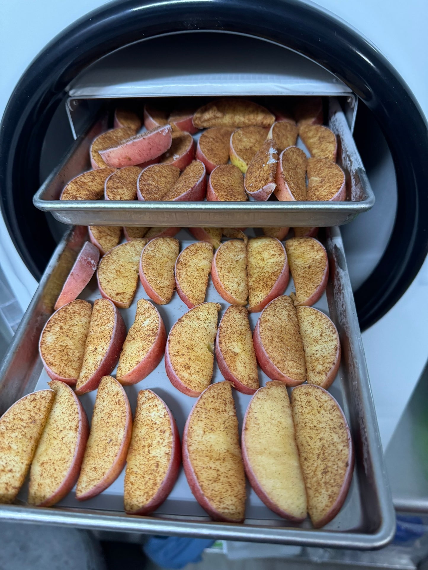 Freeze-Dried Apple Slices – Crunchy, Naturally Sweet, 100% Real Fruit