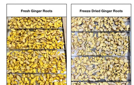 Freeze-dried ginger