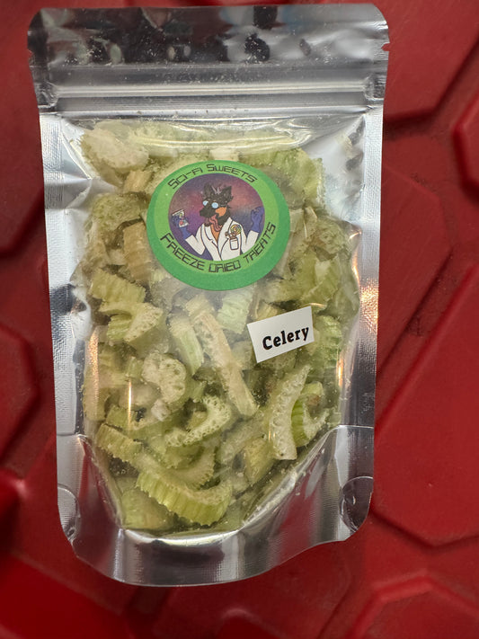 Freeze-Dried Celery