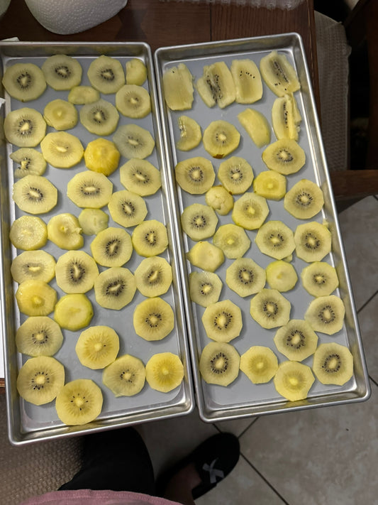 Freeze-Dried Kiwi Fruit